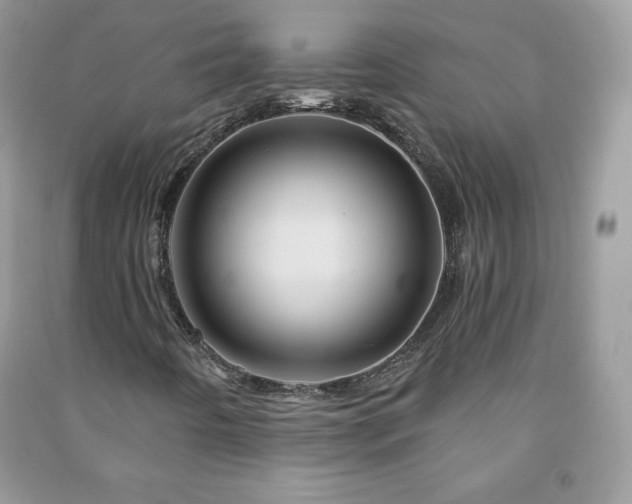 X0000090971442200708091426