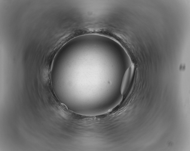 X0000090971444200708091426