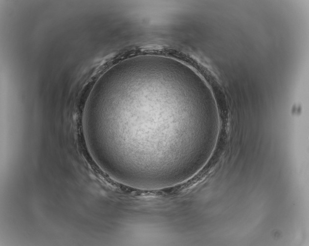 X0000090971445200708091426