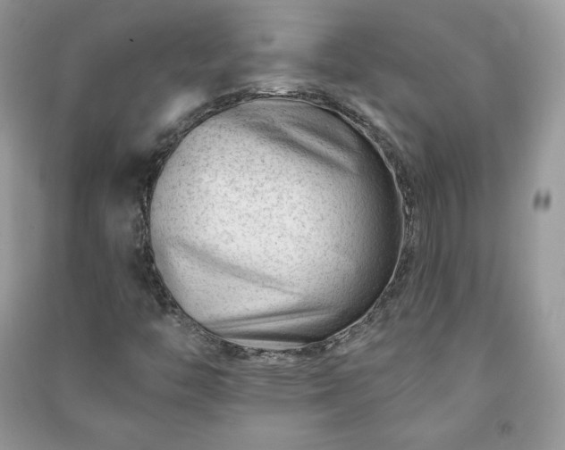 X0000090971446200708091426