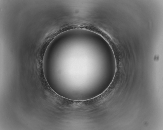 X0000090971447200708091426