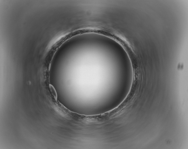 X0000090971448200708091426