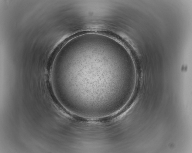 X0000090971449200708091426