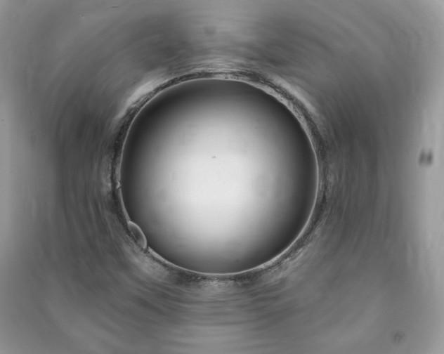 X0000090971451200708091426