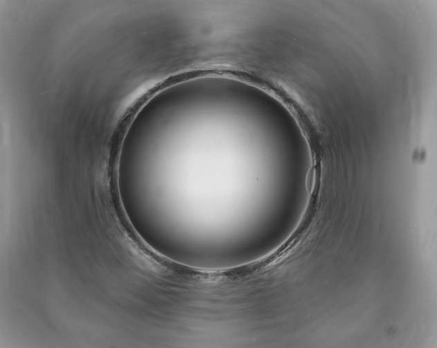 X0000090971452200708091426