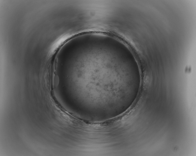 X0000090971455200708091426