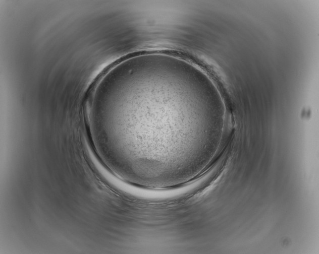 X0000090971457200708091426