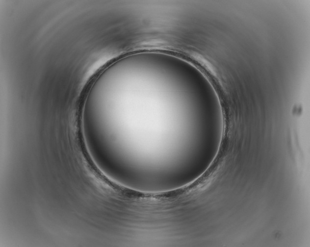 X0000090971458200708091425