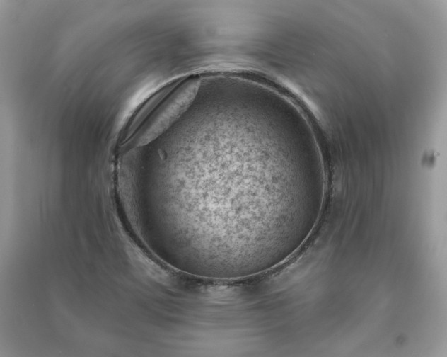 X0000090971459200708091425