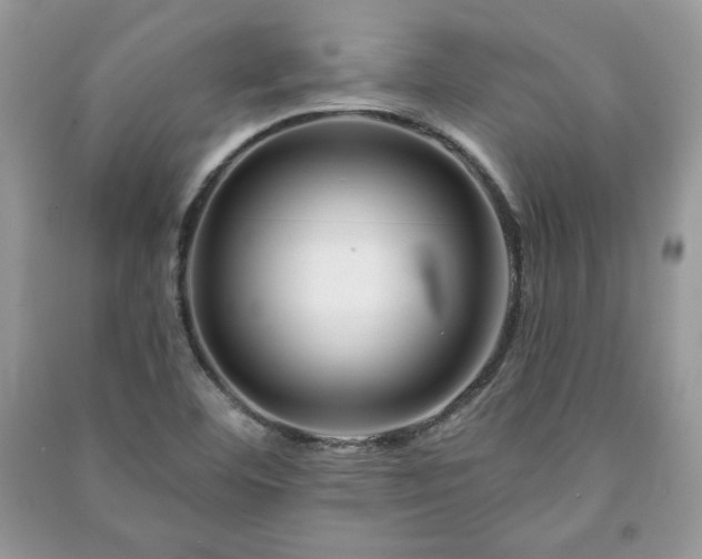 X0000090971460200708091425