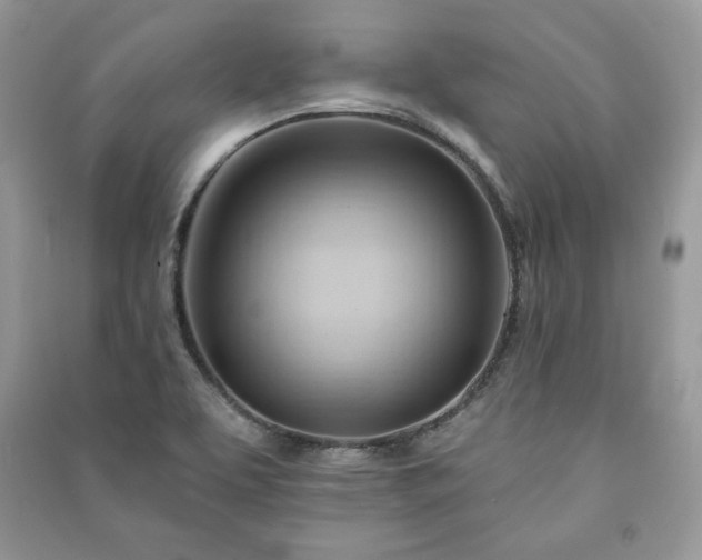 X0000090971463200708091425