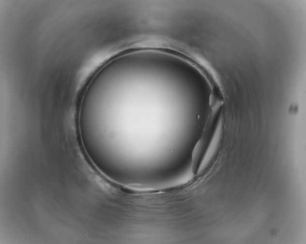 X0000090971464200708091425