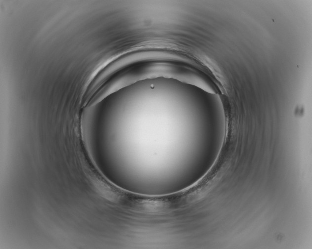 X0000090971465200708091425