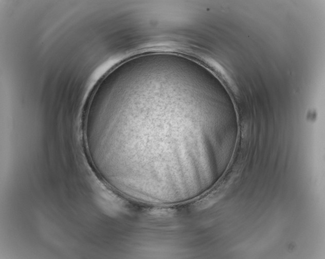 X0000090971466200708091425