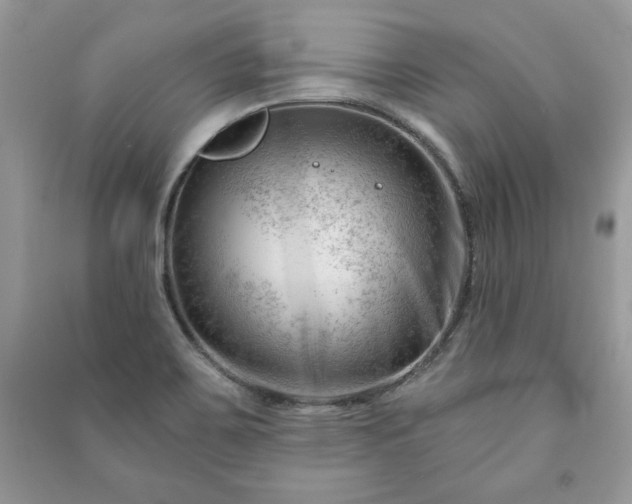 X0000090971467200708091425