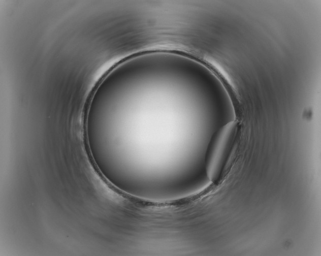 X0000090971468200708091425