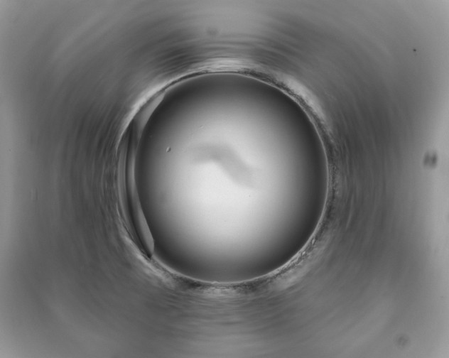 X0000090971473200708091425