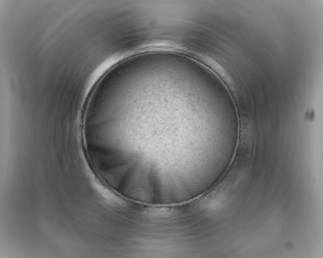 X0000090971474200708091425