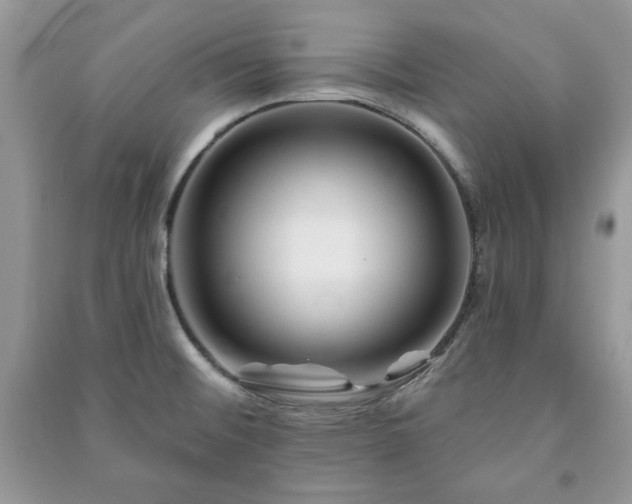 X0000090971476200708091425