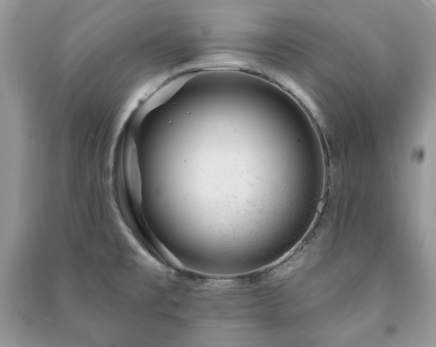 X0000090971477200708091425