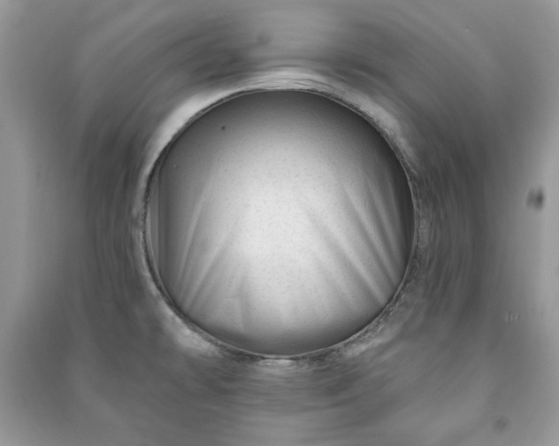 X0000090971478200708091425