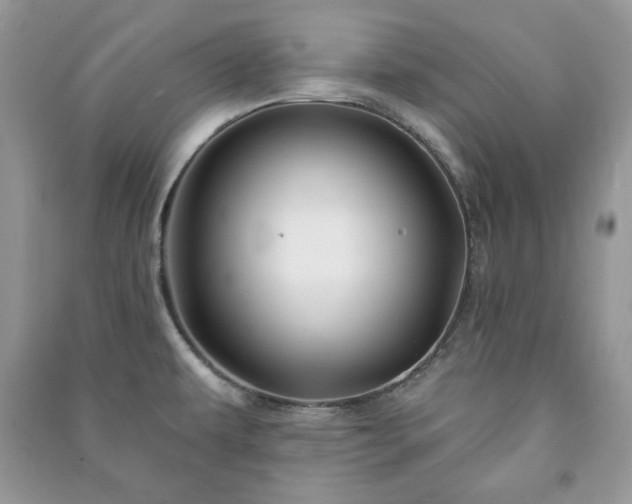 X0000090971479200708091425