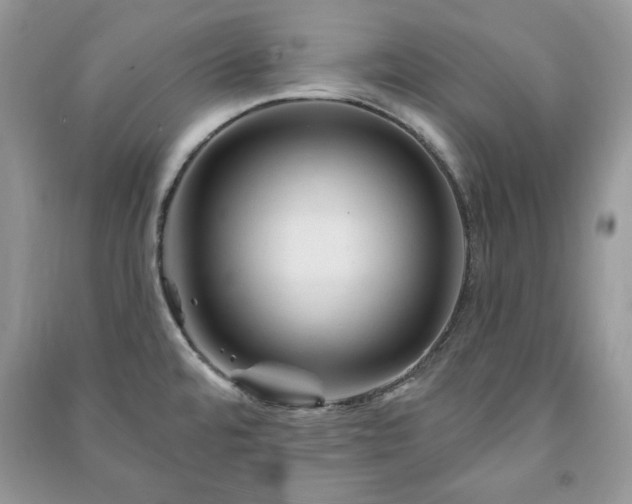 X0000090971480200708091425