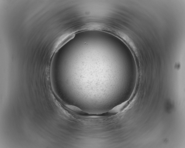 X0000090971481200708091425