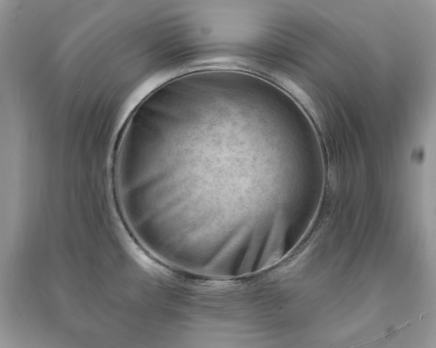 X0000090971482200708091425