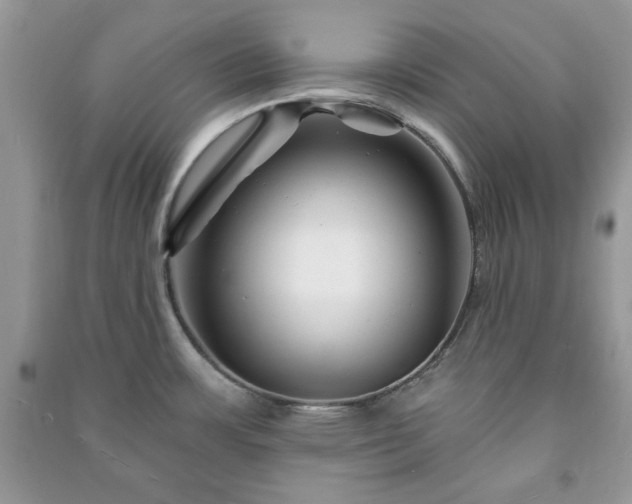 X0000090971483200708091425