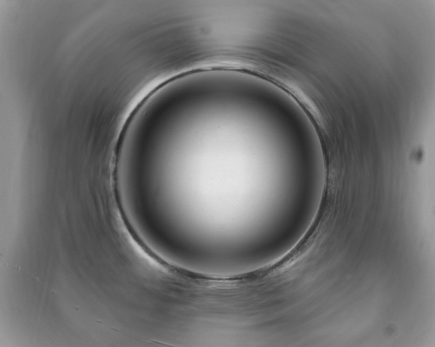 X0000090971484200708091425