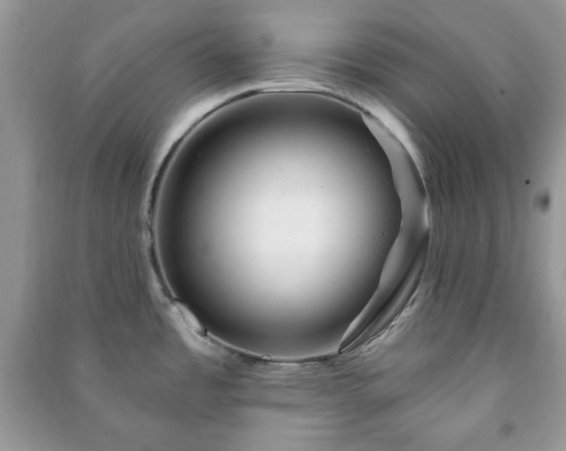 X0000090971485200708091425