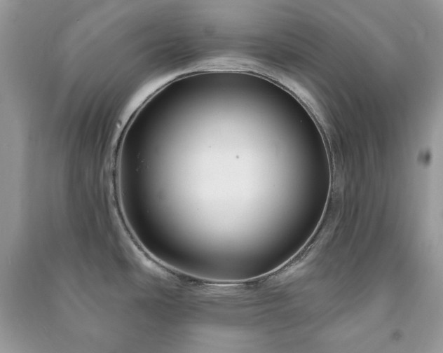 X0000090971486200708091425