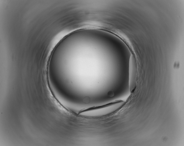 X0000090971488200708091425