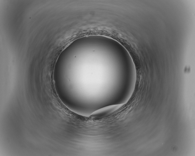 X0000090971489200708091425