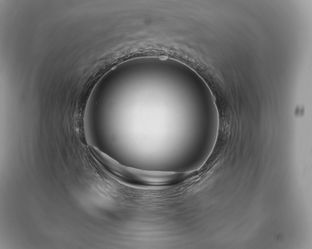 X0000090971490200708091425