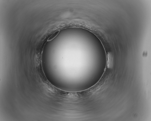 X0000090971491200708091425