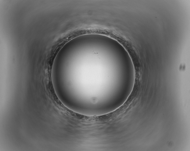 X0000090971493200708091425