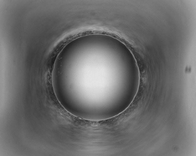 X0000090971495200708091425