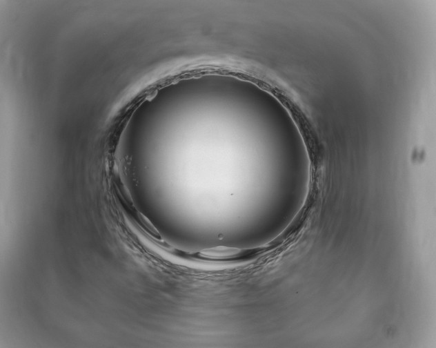 X0000090971496200708091425