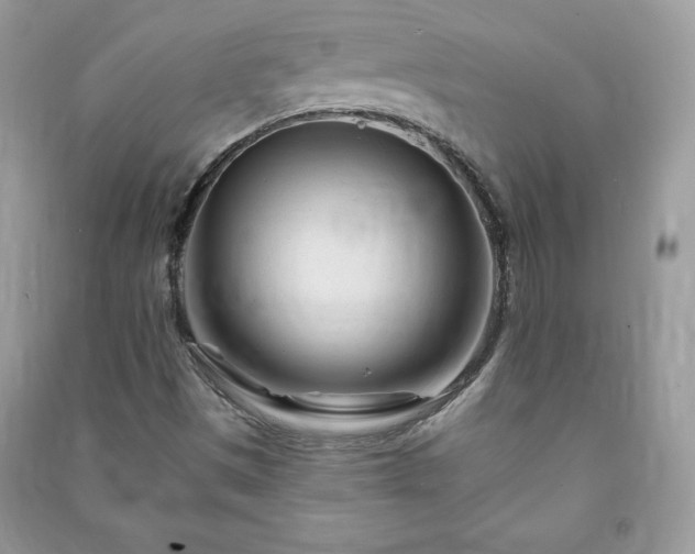 X0000090971497200708091425