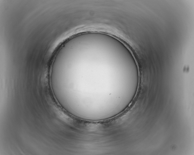 X0000090971498200708091425