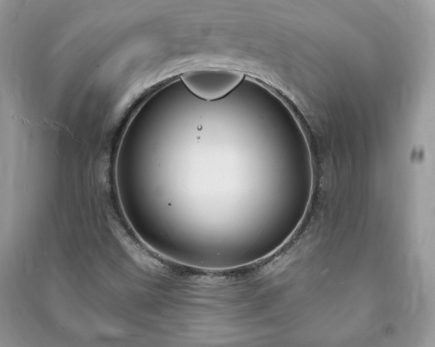 X0000090971499200708091425