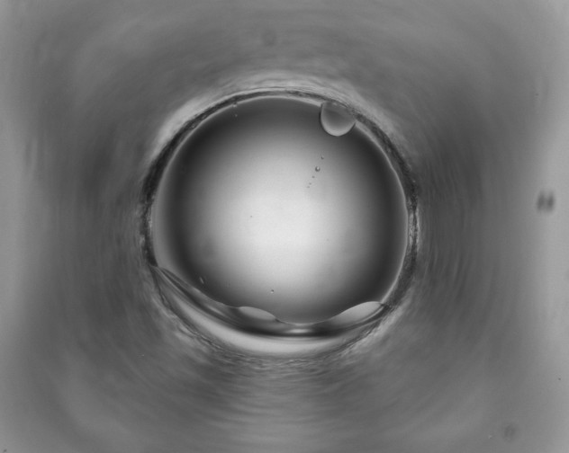 X0000090971501200708091425