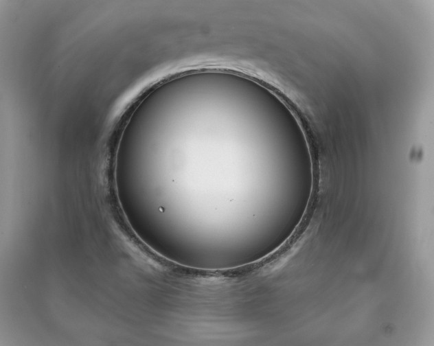 X0000090971502200708091425