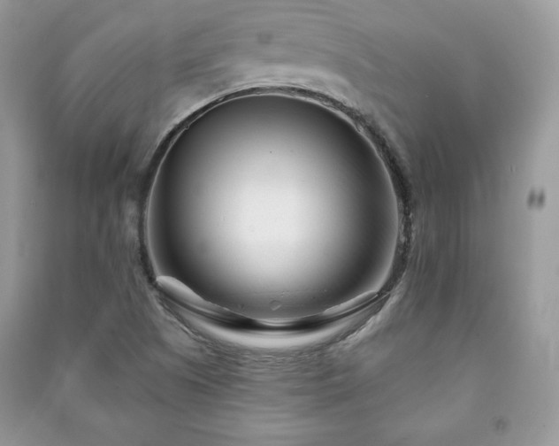 X0000090971505200708091425