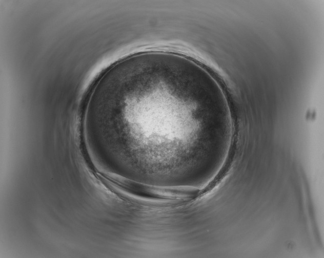 X0000090971506200708091425