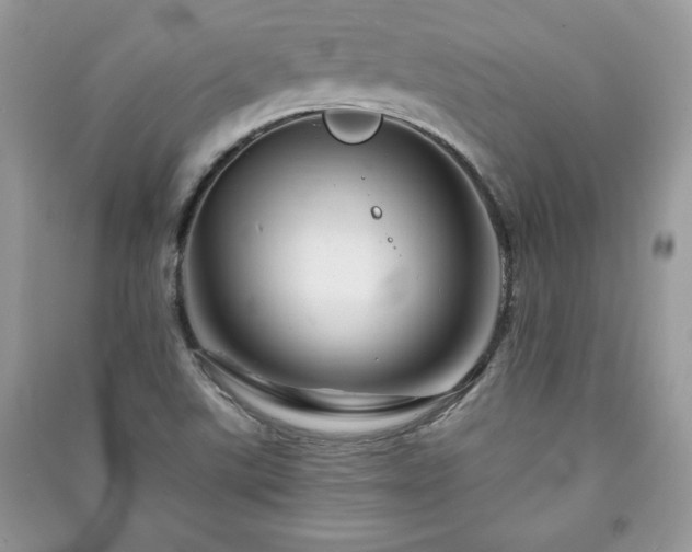 X0000090971507200708091425