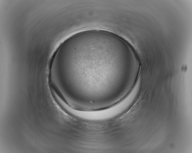 X0000090971508200708091425