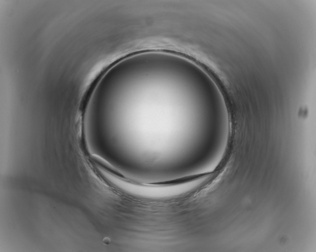 X0000090971509200708091425